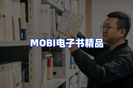 外文电子书产品